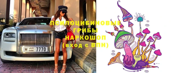 дмт Пестово
