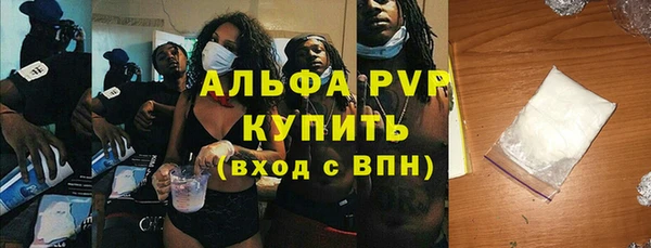 амф Пересвет