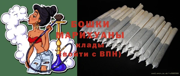 дмт Пестово